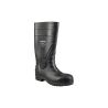 Botas